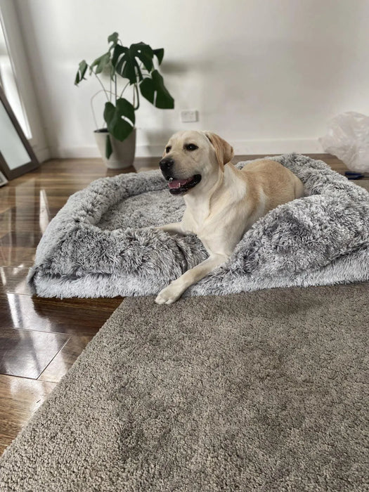 Pet Orthopaedic Bed
