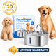 Dog Water Fountain for Multi-pet Household